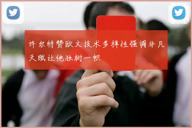 许尔特赞欧文技术多样性强调非凡天赋让他独树一帜